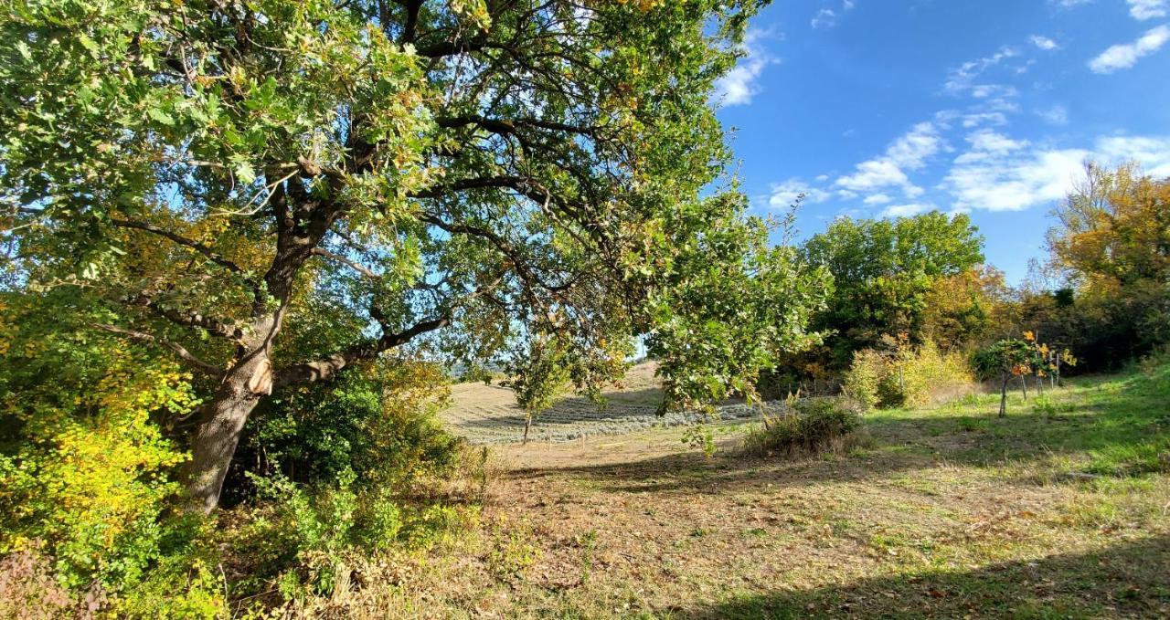 la Volpina Villa Barberino di Val dʼElsa Esterno foto