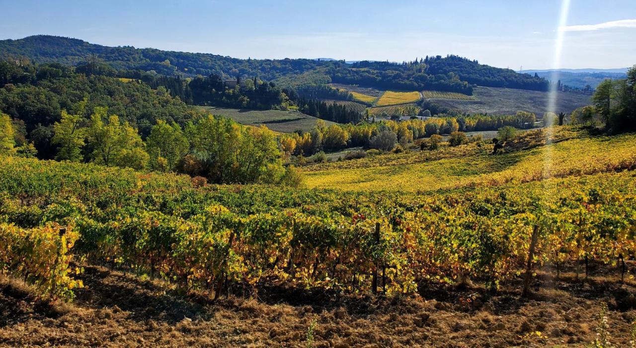 la Volpina Villa Barberino di Val dʼElsa Esterno foto