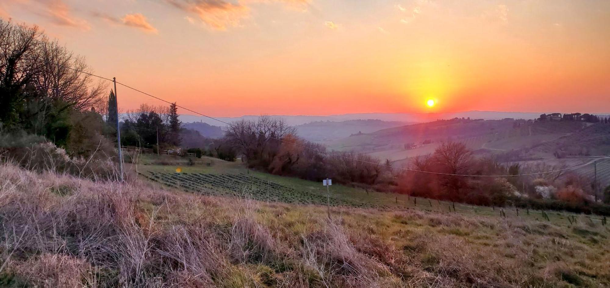 la Volpina Villa Barberino di Val dʼElsa Esterno foto